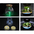 Light Up Planter Glass Bottle
